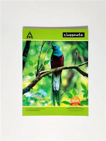 Classmate Notebook Single Line Interleaf – Soft Cover, 72 Pages, 24 x 18 cm (02001160)