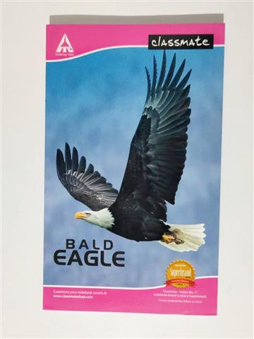 Classmate Notebook 256 Pages(27.2 X 16.7cm) (02000213)
